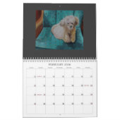Honden hier live - kalender 2012 (Feb 2026)