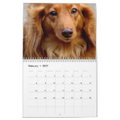 Honden, Honden, Honden kalender (Feb 2027)