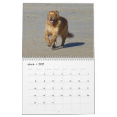 Honden, Honden, Honden kalender (Mar 2027)