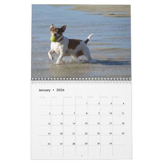 Honden, Honden, Honden kalender (Jan 2026)