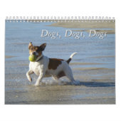 Honden, Honden, Honden kalender (Hoes)