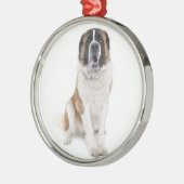Honden houden ook van Kerstmis! Metalen Ornament (Links)