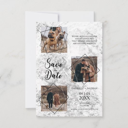 Honden huisdieren drie foto's met een paar aankond (Voorkant)