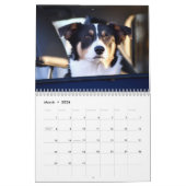 Honden in auto's Kalender (Mar 2026)