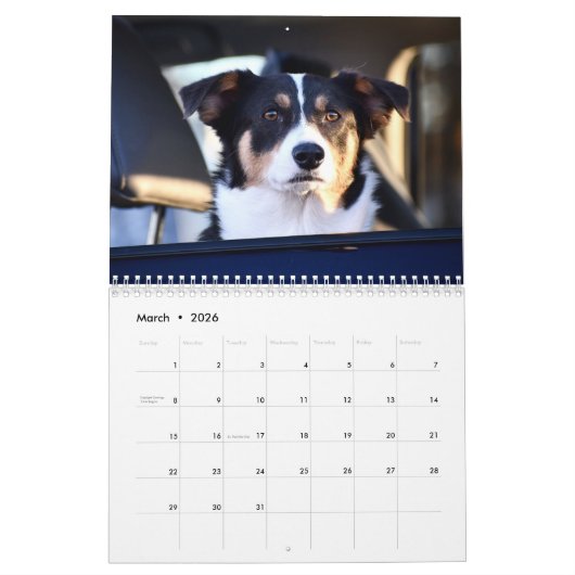 Honden in auto's Kalender (Mar 2026)