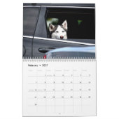 Honden in auto's Kalender (Feb 2027)