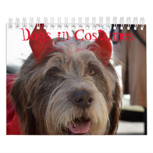 Honden in Costumes 2019 Agenda Kalender