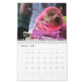 Honden in Costumes 2019 Agenda Kalender (Feb 2026)