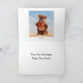 Honden in Costumes Card Kaart (Binnen)