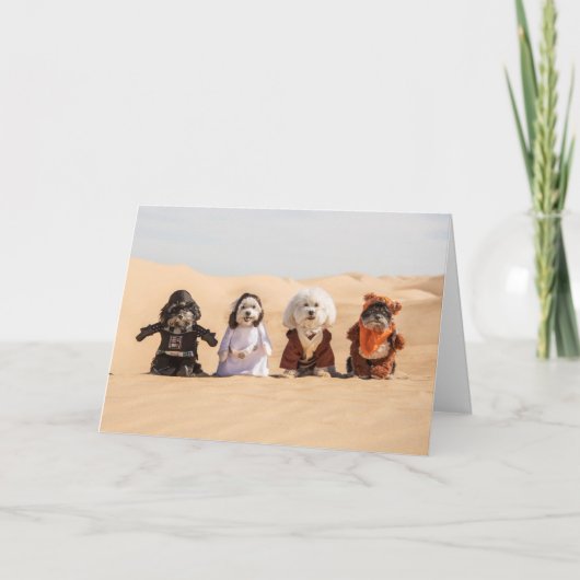 Honden in Costumes Card Kaart (Voorkant)