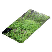 Honden in de Bossen Magneet (Linkerzijde)