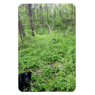 Honden in de Bossen Magneet