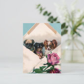 Honden in een envelop briefkaart (Staand voorkant)