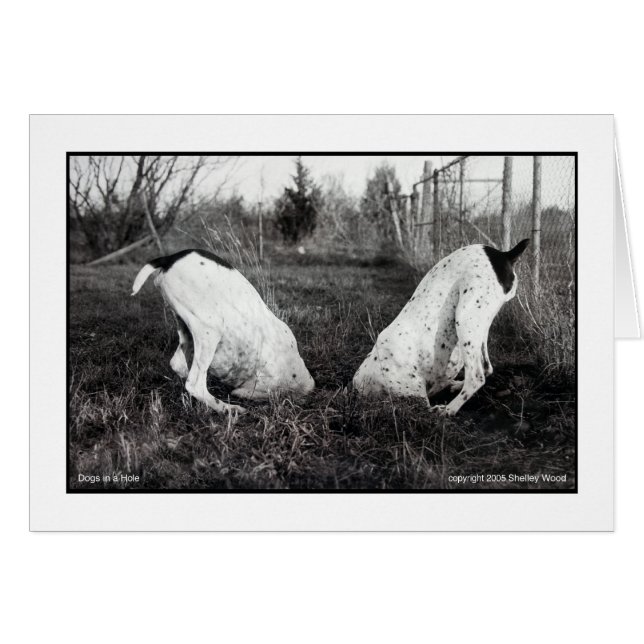 Honden in een Gat (Voorkant Horizontaal)