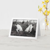 Honden in een Gat Kaart (Gele Bloem)