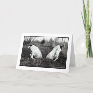 Honden in een Gat Kaart