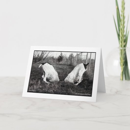 Honden in een Gat Kaart (Voorkant)