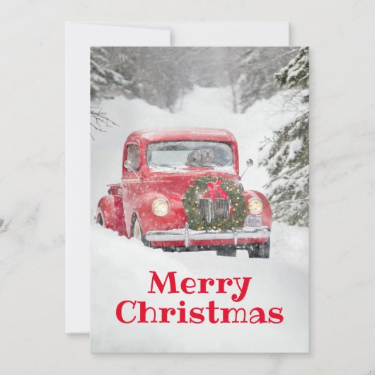 Honden in een vrachtwagen kaart (Voorkant)