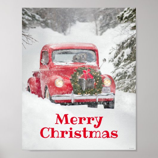 Honden in een vrachtwagen poster (Voorkant)