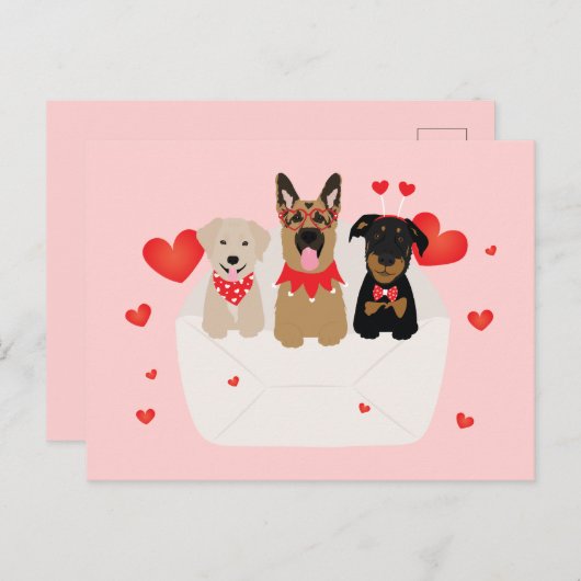 Honden in envelope Love Briefkaart (Voorkant / Achterkant)
