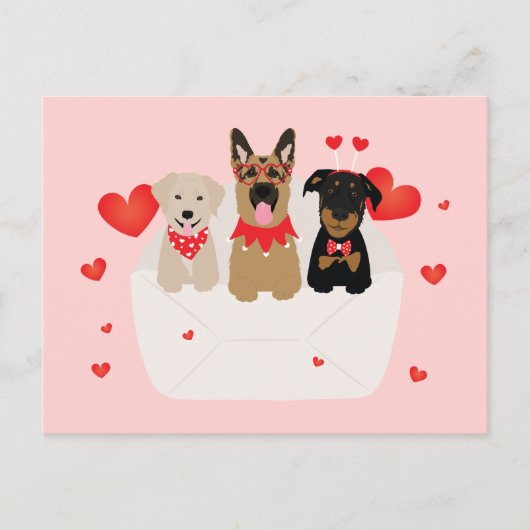 Honden in envelope Love Briefkaart (Voorkant)