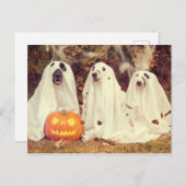 Honden in Ghost Costumes Funny Halloween Briefkaart (Voorkant / Achterkant)