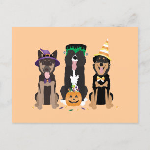 Honden in Halloween Costumes Briefkaart