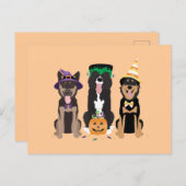 Honden in Halloween Costumes Briefkaart (Voorkant / Achterkant)