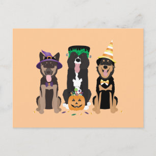 Honden in Halloween Costumes Briefkaart