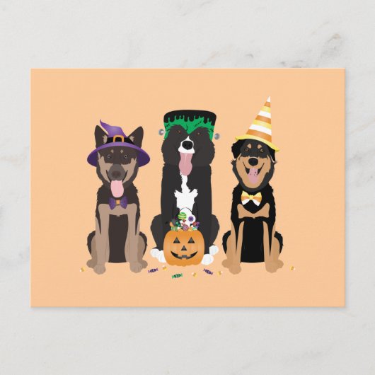 Honden in Halloween Costumes Briefkaart (Voorkant)