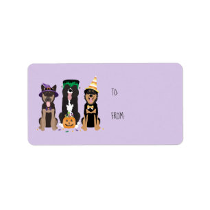 Honden in Halloween Costumes Etiket