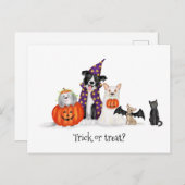 Honden in Halloween kostuums briefkaart (Voorkant / Achterkant)