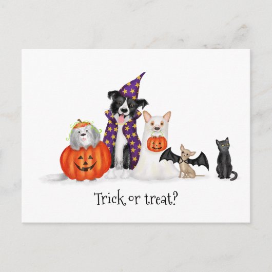 Honden in Halloween kostuums briefkaart (Voorkant)
