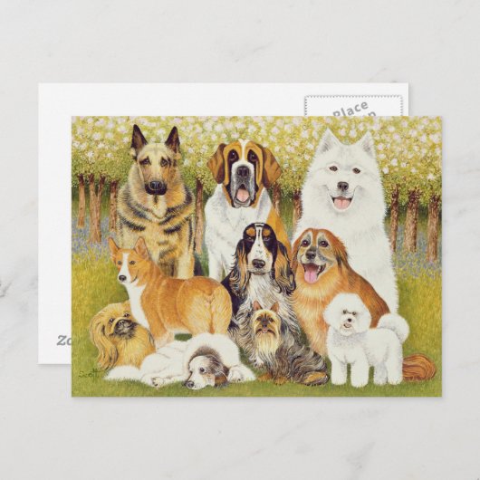 Honden in mei briefkaart (Voorkant / Achterkant)