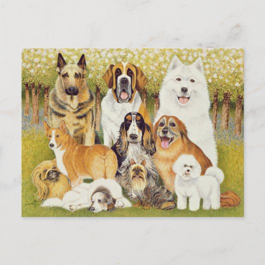 Honden in mei briefkaart (Voorkant)