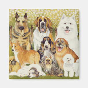 Honden in mei magneet