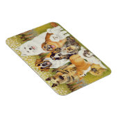 Honden in mei magneet (Rechterzijde)