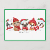 Honden in Santa Hats Animals Puppies Moderne Groen Feestdagenkaart (Voorkant)