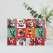 Honden in truien Dank je wel kaart (Staand voorkant)