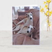 Honden Kaart (Gele Bloem)