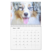 Honden kalender (Mar 2027)