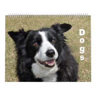 Honden kalender
