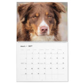 Honden kalender (Mar 2027)