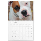 Honden kalender (Jan 2027)
