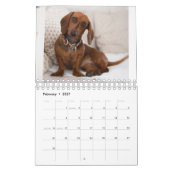 Honden Kalender (Feb 2027)