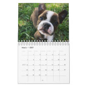 Honden Kalender (Mar 2027)