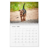 Honden Kalender (Jan 2026)