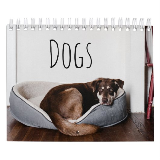 Honden Kalender (Hoes)