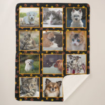 Honden Katten Herfst Pootafdrukken Aangepaste Foto