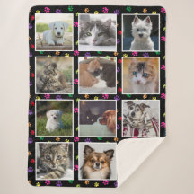 Honden Katten Kleurrijke Pootafdrukken Aangepaste 